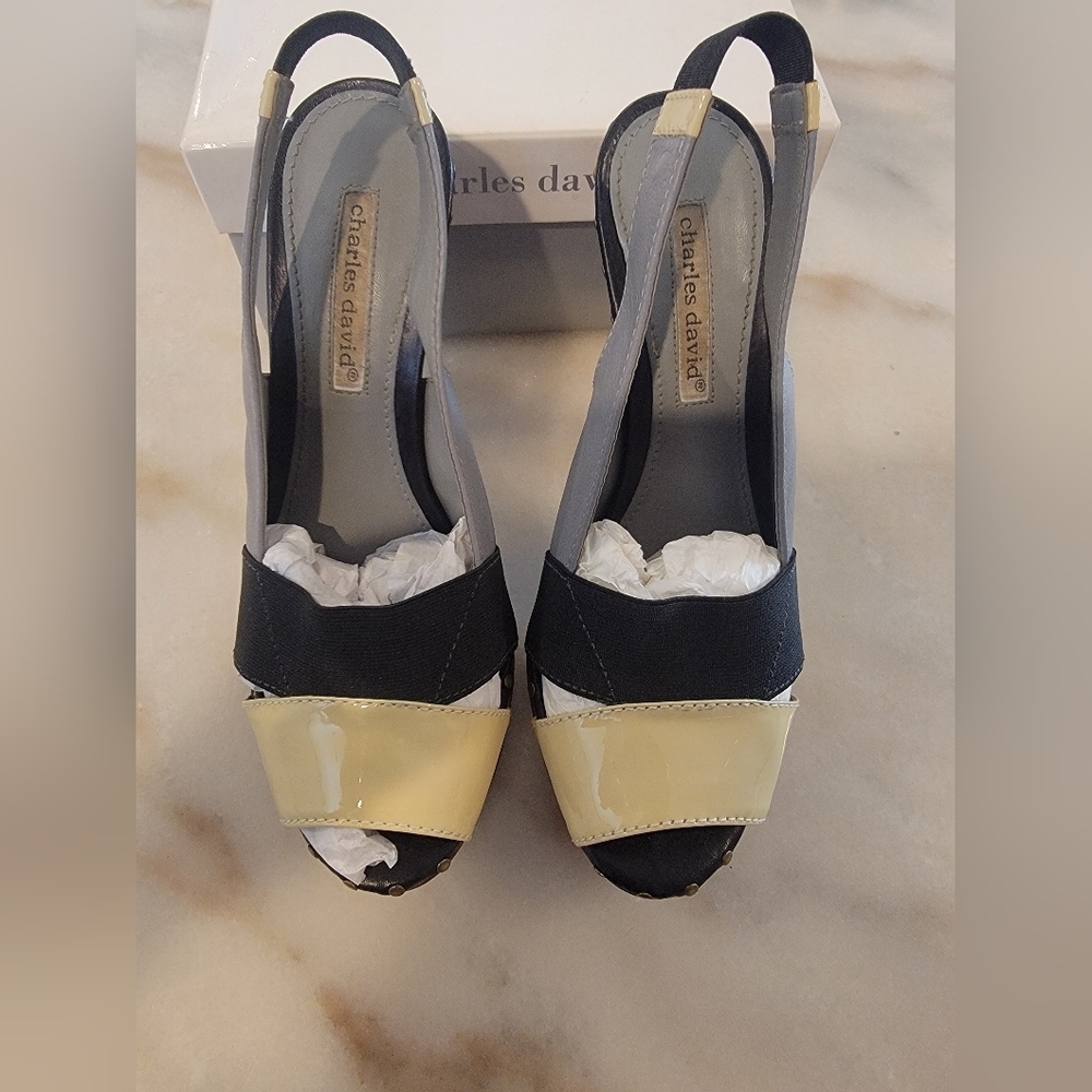 Charles David Black and Yellow Women's Shoes
